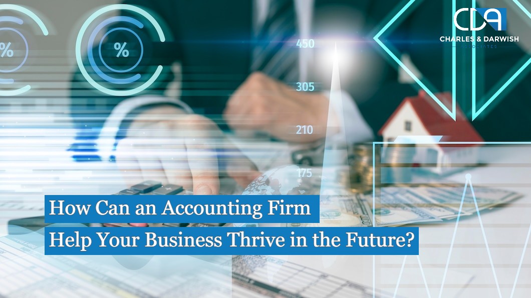 How Can an Accounting Firm Help Your Business Thrive in the Future?